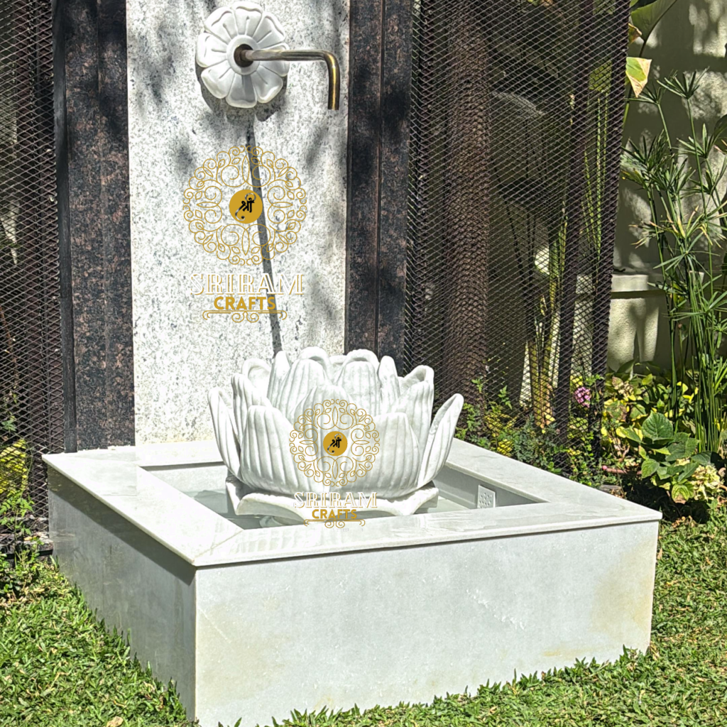 Resize image project (3)